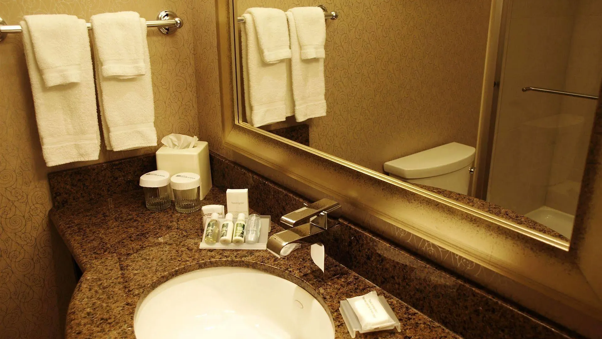 Hotel Hilton Garden Inn Toronto Airport West/Mississauga